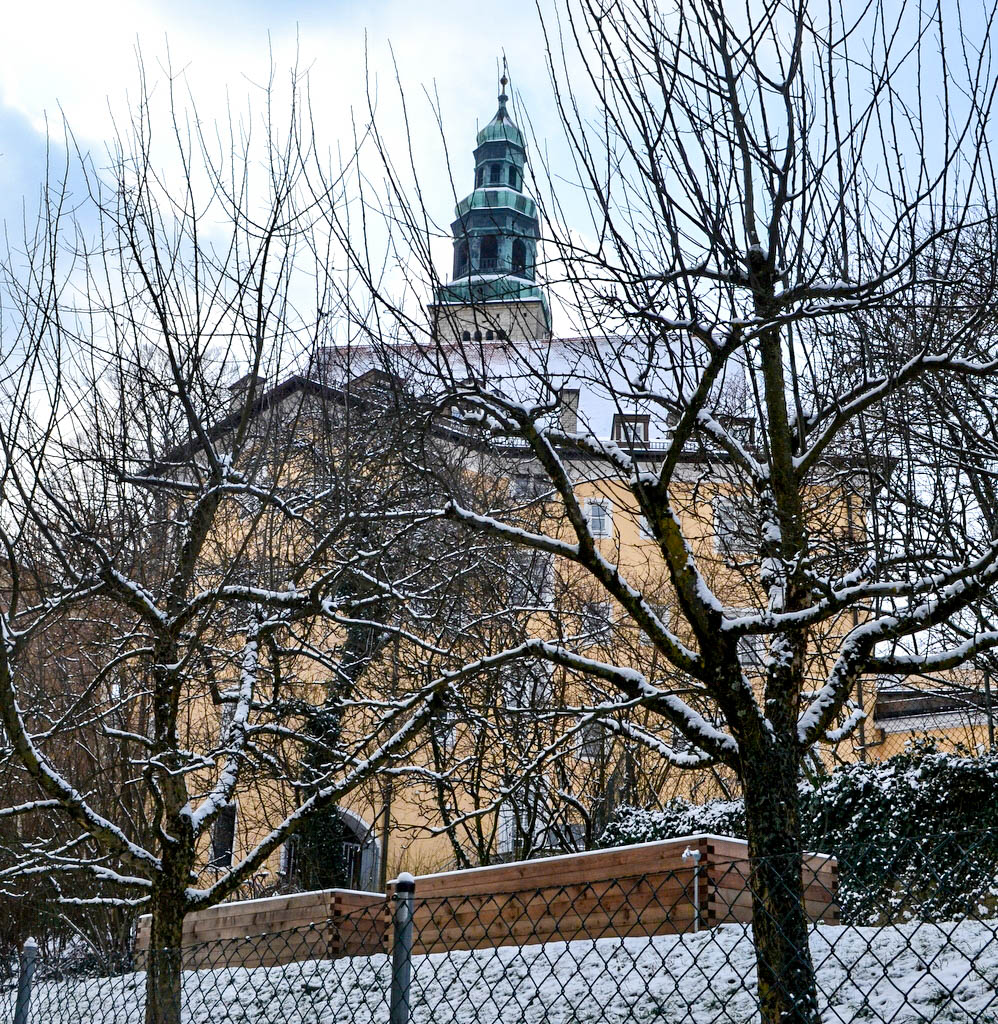 verschneiter Obstgarten in Salzburg Mülln