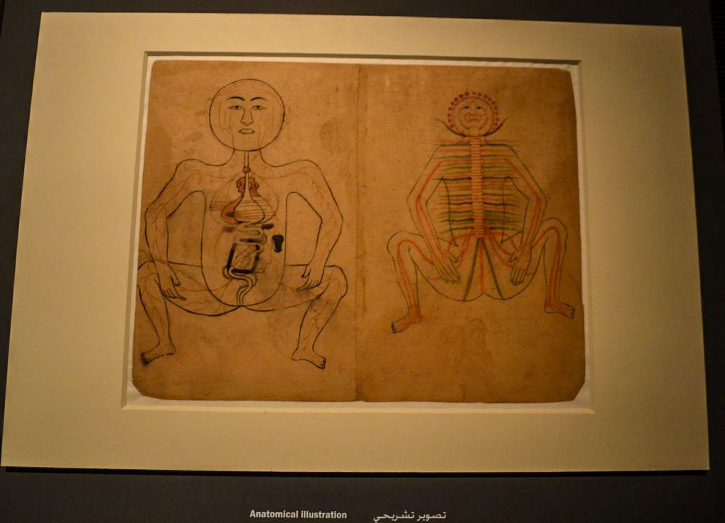 Anatomische Zeichnung im MIA Doha
