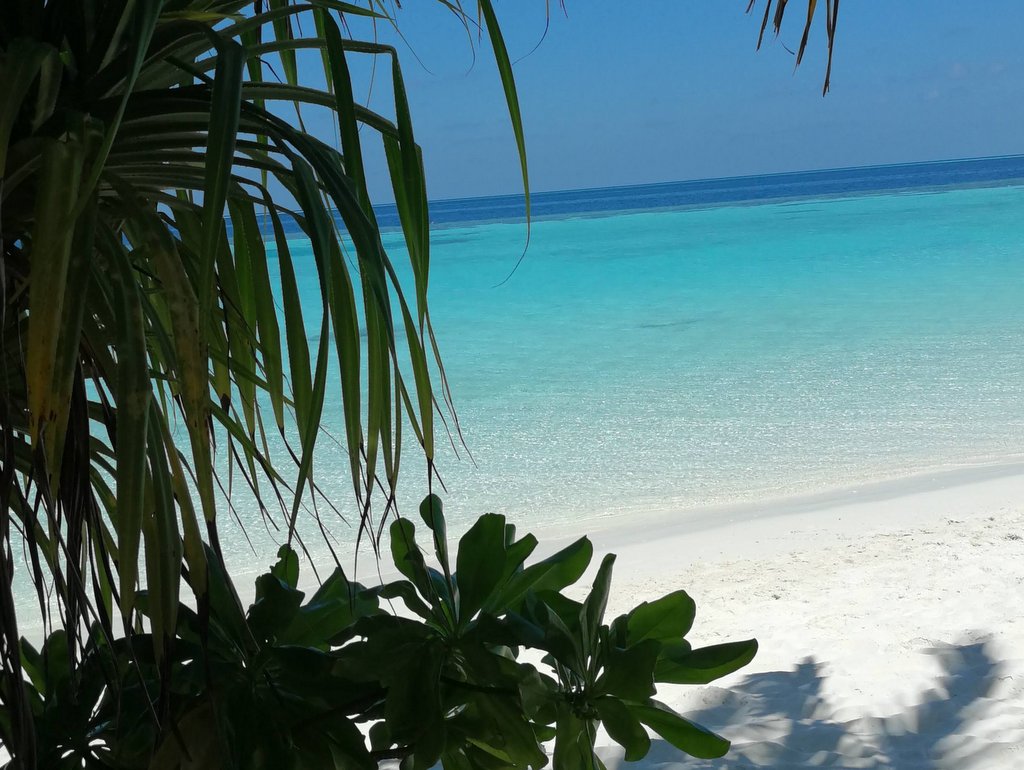Lily Beach Malediven Strand